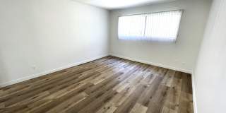 10908 Rose Gallery 25