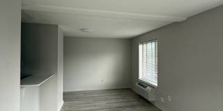 66 WEB LLC. Gallery 11