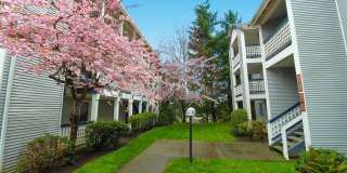 Arbour Court Gallery 2