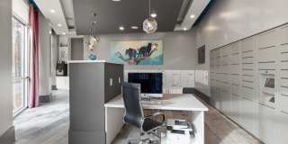 Cadence Music Factory Gallery 19