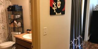 21 Orange Gallery 51