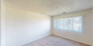 Austin Park Gallery 11