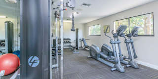 Solana Vista Gallery 26