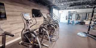 The Wayland Gallery 13