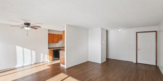 Colony Park Gallery 2