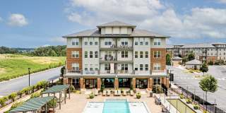 The Kingson Gallery 1