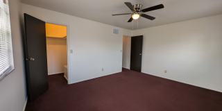 1181 D Kelburn Road Gallery 17