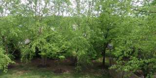 43762 LEES MILL Square Gallery 36