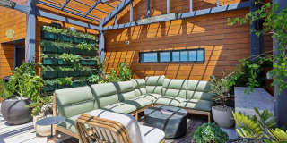 Treehouse Gallery 33