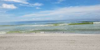 SEASONAL SHORT-TERM 1-BED 1 BATH CONDO ON LONGBOAT KEY. BEACH ACCESS Gallery 34