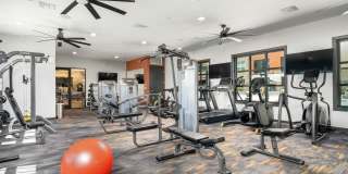 The Wyatt Gallery 22