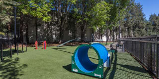 The Standard The Standard Gallery 16