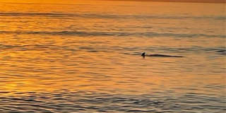 618 Bayport Way BAYPORT WAY Gallery 46