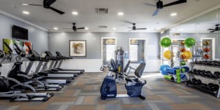 Central Park Gallery 15