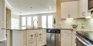 Radius Turtle Creek Gallery 17