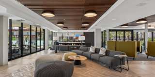 Scottsdale on Main Gallery 52