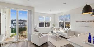 Springside Middletown Gallery 5