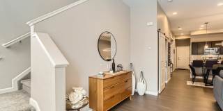 C2 Apartments Gallery 17