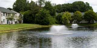 Woodland Meadows Gallery 20