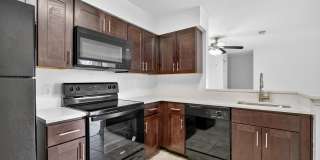 The Cloisters Gallery 14