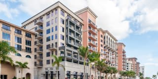 Palmetto Promenade Gallery 35