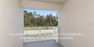 13411 Gorgona Isle Dr Gallery 12