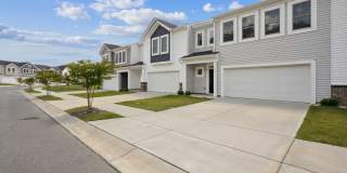 Poplin Trace Gallery 20