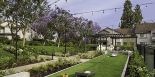 The Arbors Gallery 4