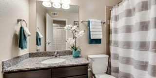 Mount Vernon Gallery 12