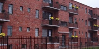 Collins Terrace Gallery 15