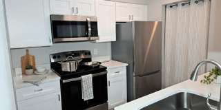 Palms of Clearwater Gallery 28