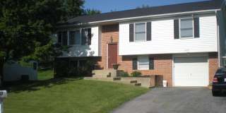 823 SNOWFALL Way Gallery 1