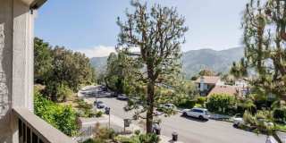 17083 Palisades Cir Gallery 28