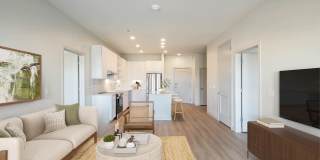 The Basin Gallery 43