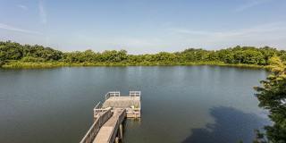 Whispering Lake Gallery 22