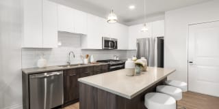 Harbor Landing Gallery 19