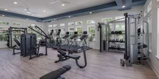 Makara Orlando Gallery 24