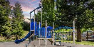 Bell Rohnert Park Gallery 23