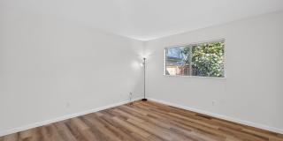 663 Spring Lane Gallery 9