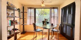 2714 Shady Gallery 1
