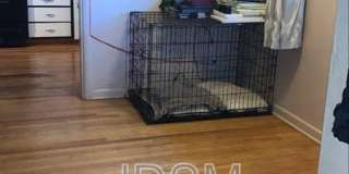 1545 Jackson Street Gallery 10