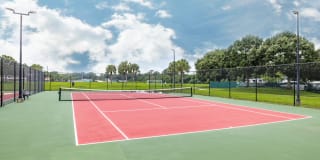 MacAlpine Place Gallery 41