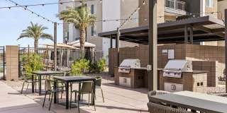 Amavida Marana Gallery 31