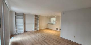 Beautifully Renovated 3-bed, 1.5-bath Condo Gallery 1