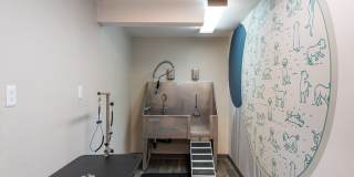 Alder Bellevue Gallery 23