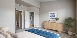 PeakView at T-Bone Ranch Apartments Gallery 6