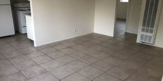 Maple 2 Gallery 7