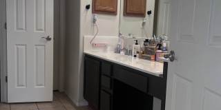 41 Willow Trace Court Gallery 9