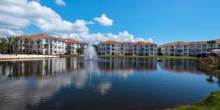 Terra Mar Gallery 43