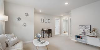 Modern 2023-Built 4-Bedroom Home in Alpine Estates Modern 2023-Built 4-Bedroom Home in Alpine Estates Gallery 12